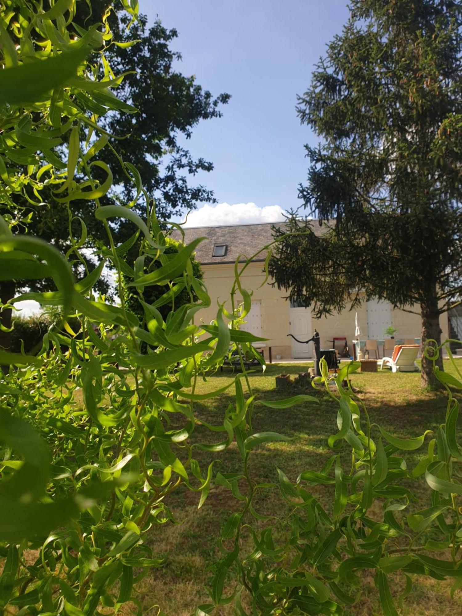Gite Au Coeur De La Touraine La Chapelle-sur-Loire Ngoại thất bức ảnh