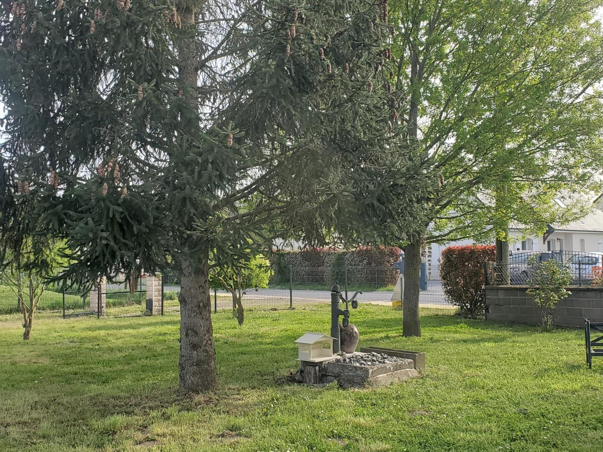Gite Au Coeur De La Touraine La Chapelle-sur-Loire Ngoại thất bức ảnh