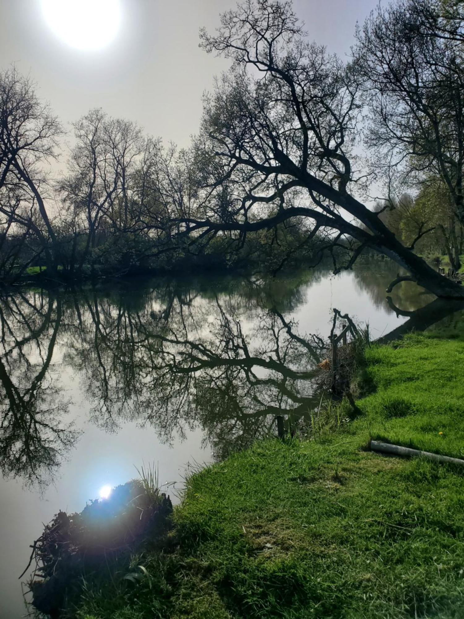 Gite Au Coeur De La Touraine La Chapelle-sur-Loire Ngoại thất bức ảnh